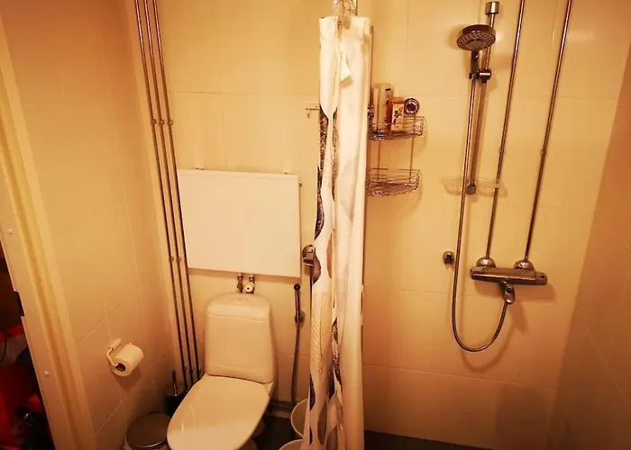 Mukava Asunto Saunalla Ja Isolla Parvekkeella! Апартаменты Тампере